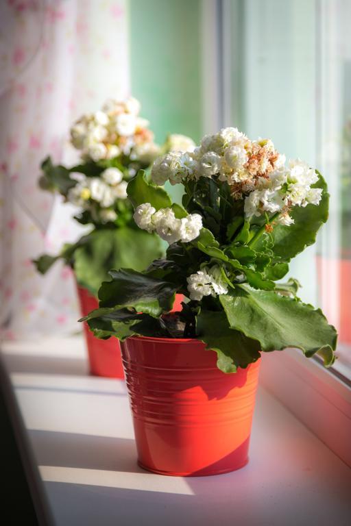 Фото На Даче