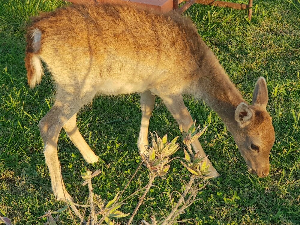 Фото Quinta das Origens