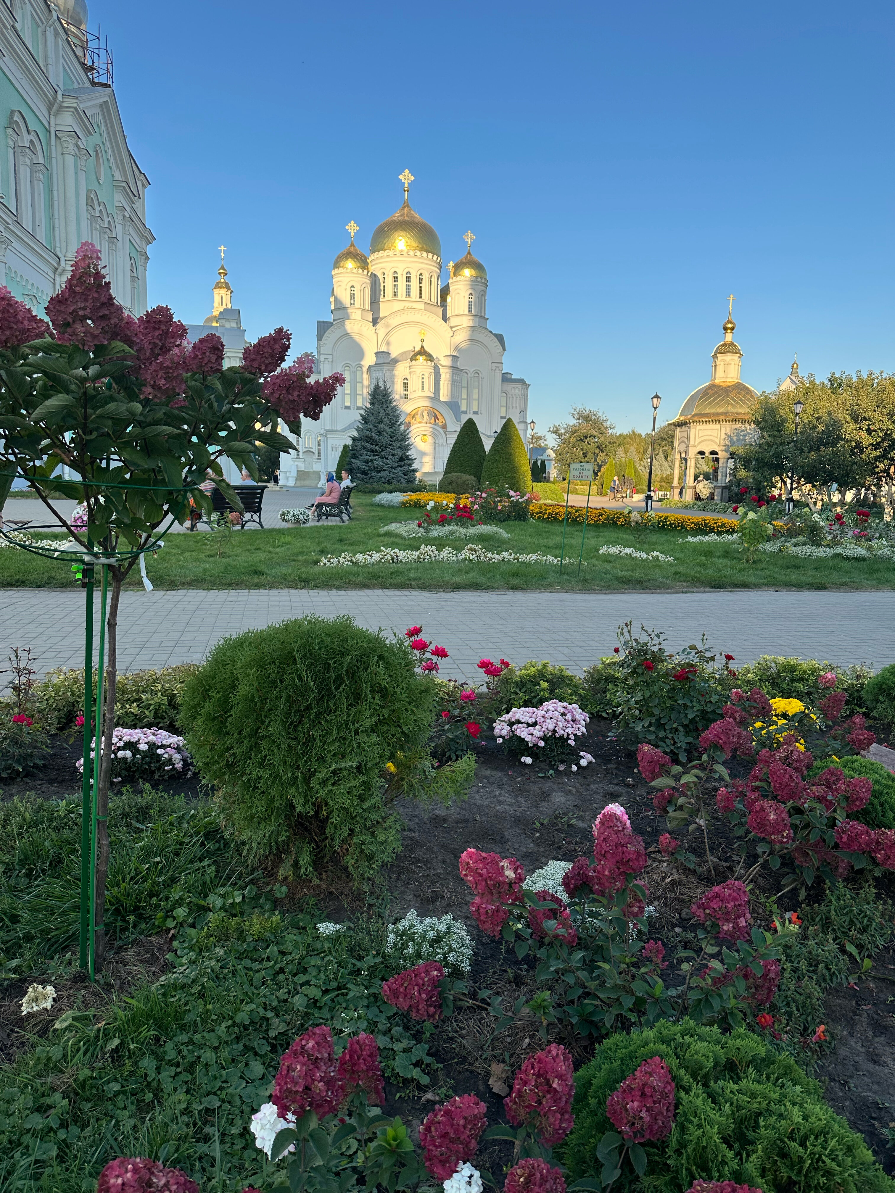 Фото Пилигрим