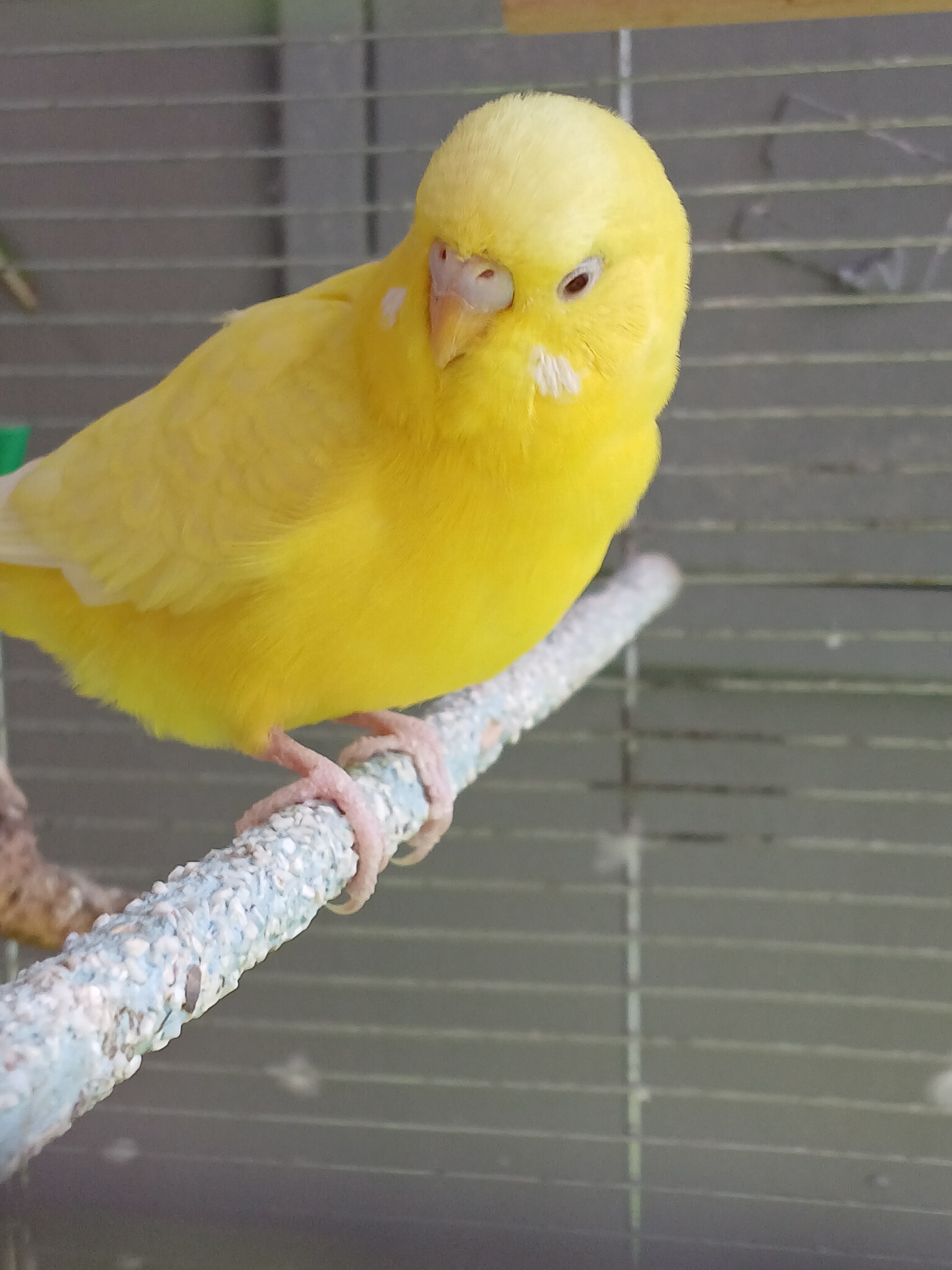 Фото Travel Inn на Первомайской