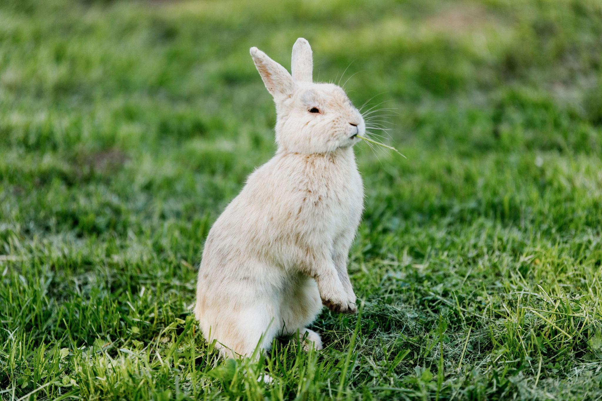 Фото Ямская 2