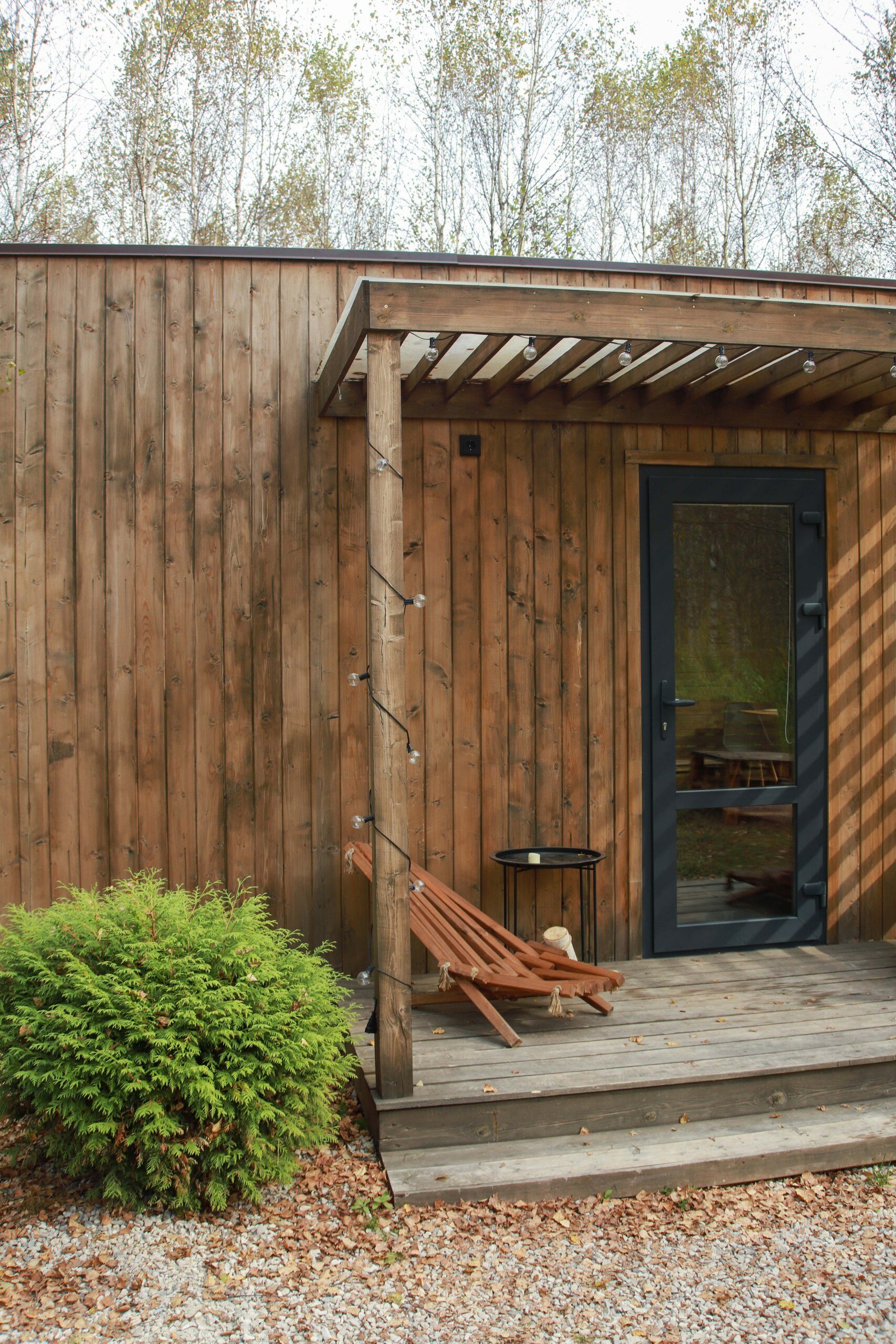 Фото Два зайца