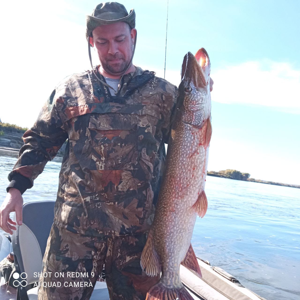 Фото Домик на дереве