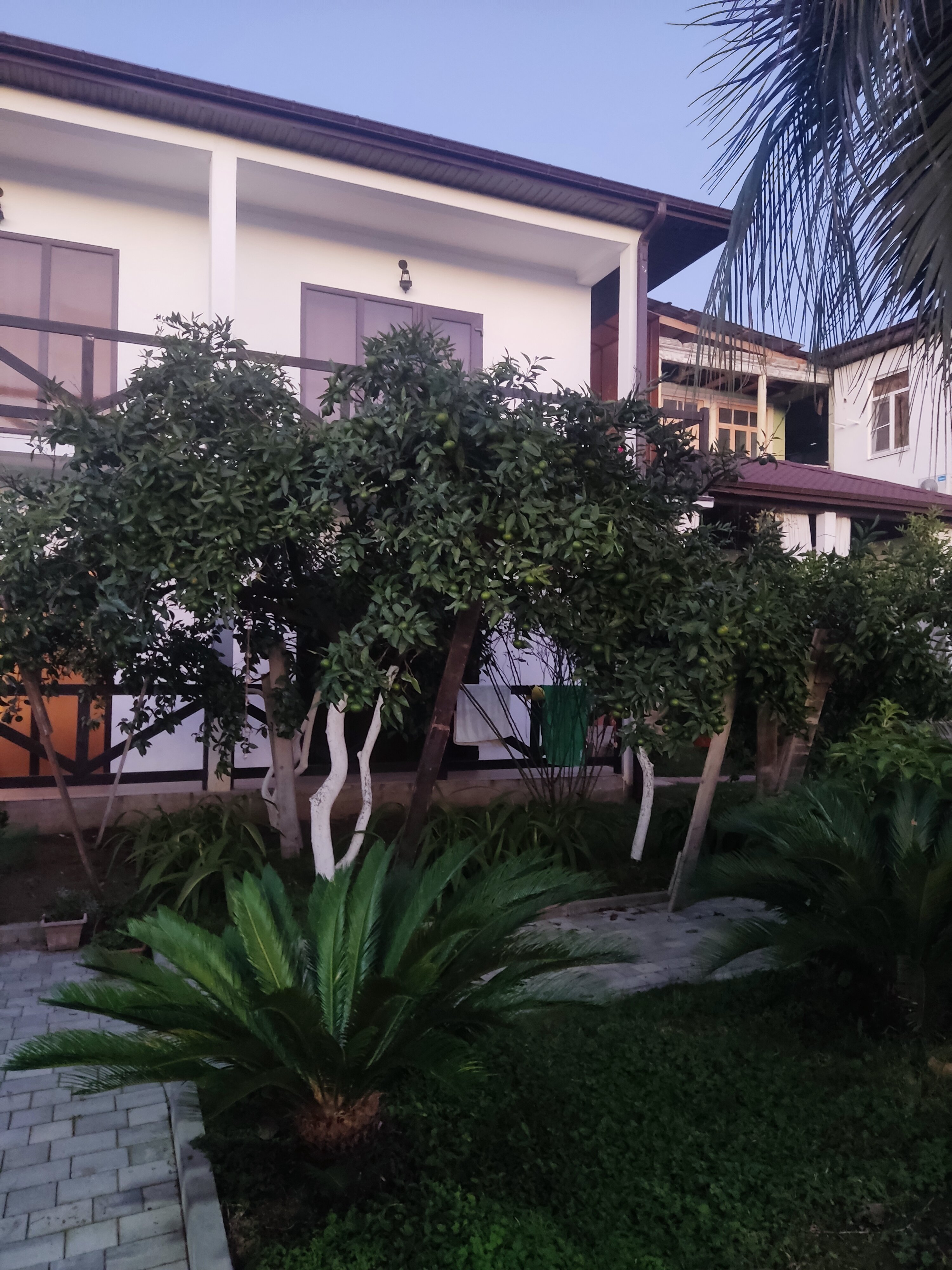 Фото Лермонтов