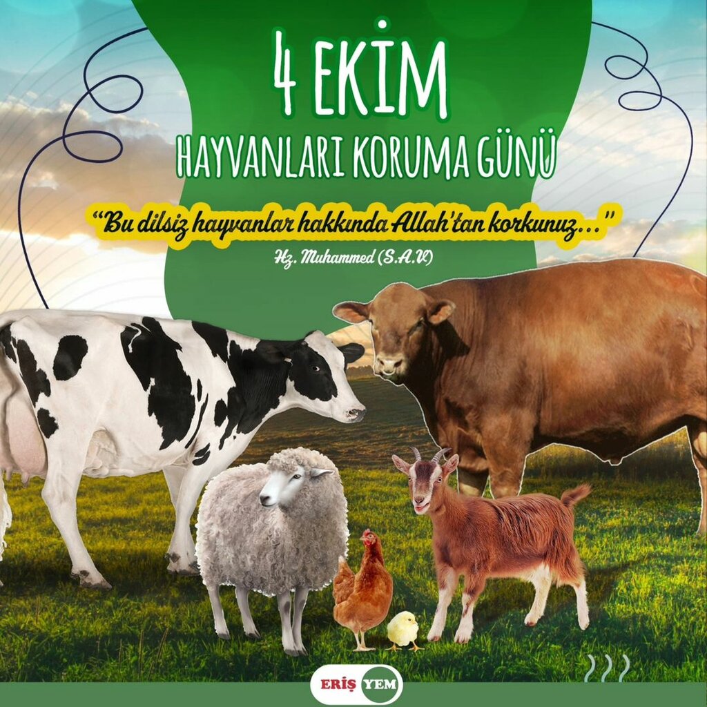 Fertilizers Eris Yumurta, Silivri, photo