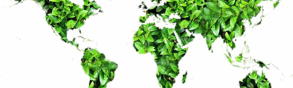 Environmental organization Mafe Engineering, Ankara, photo