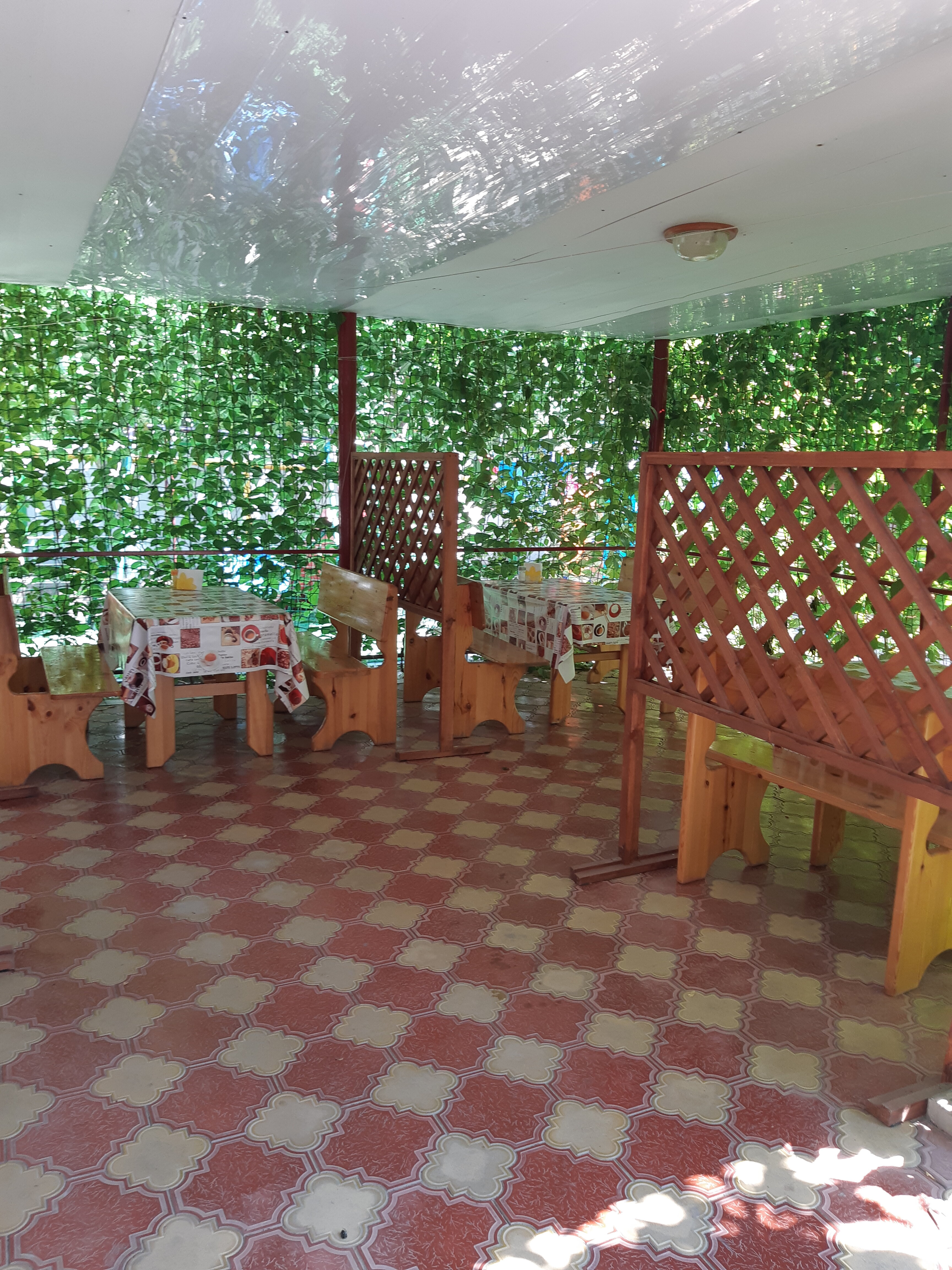 Фото Золотые Пески