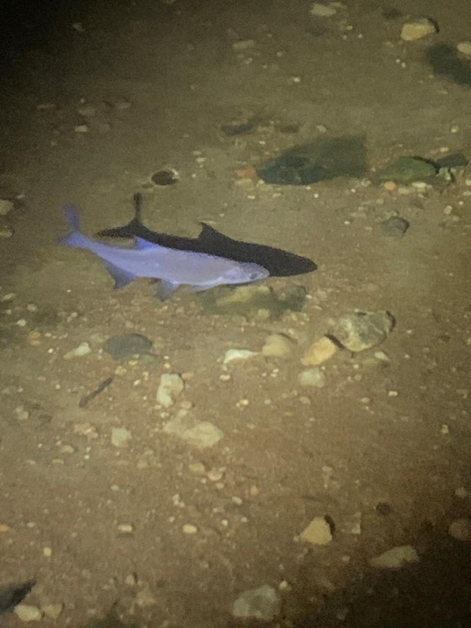 Фото Уральские Зори