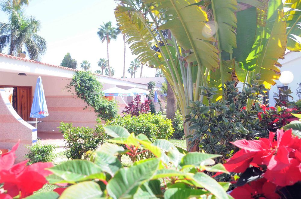 Фото San Valentín & Terraflor Park