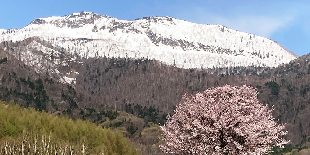 Фото Pension Hoshi Ni Negaiwo