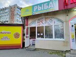 Рыба (Fridrikha Engelsa Avenue, 4А), fish and seafood
