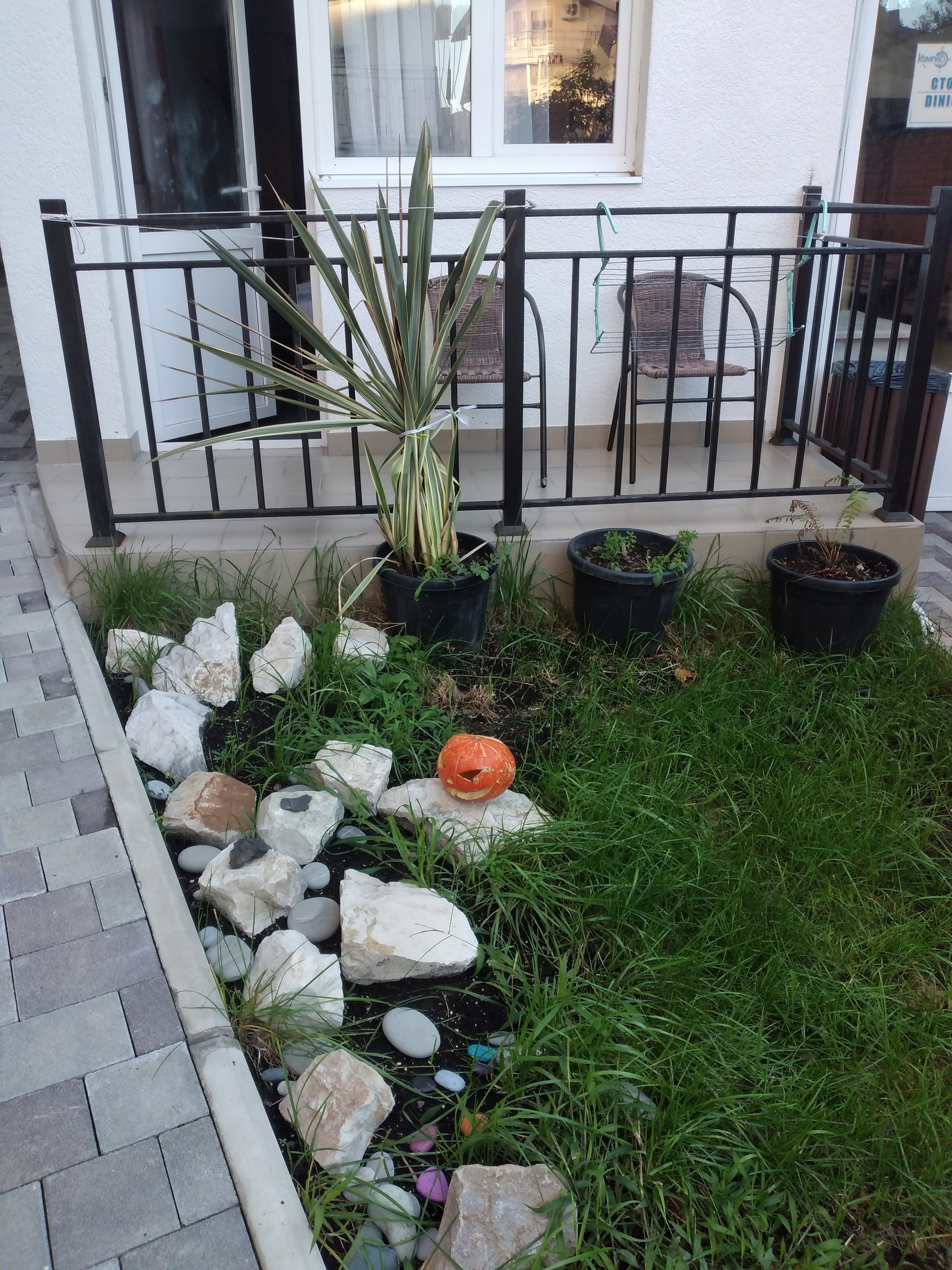 Фото Компас