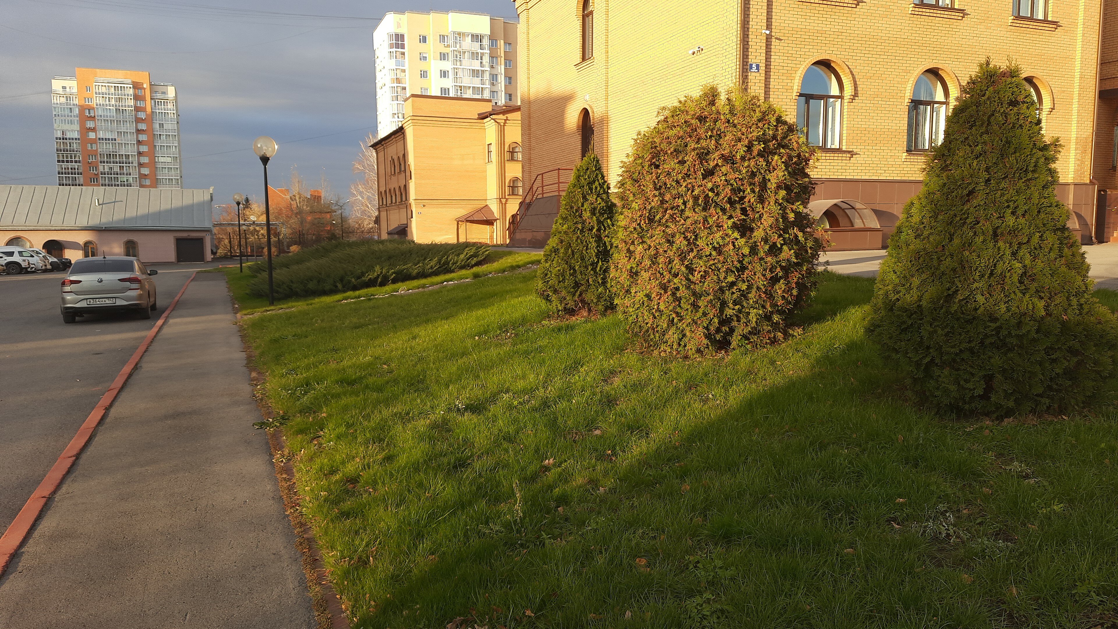 Фото Пилигрим