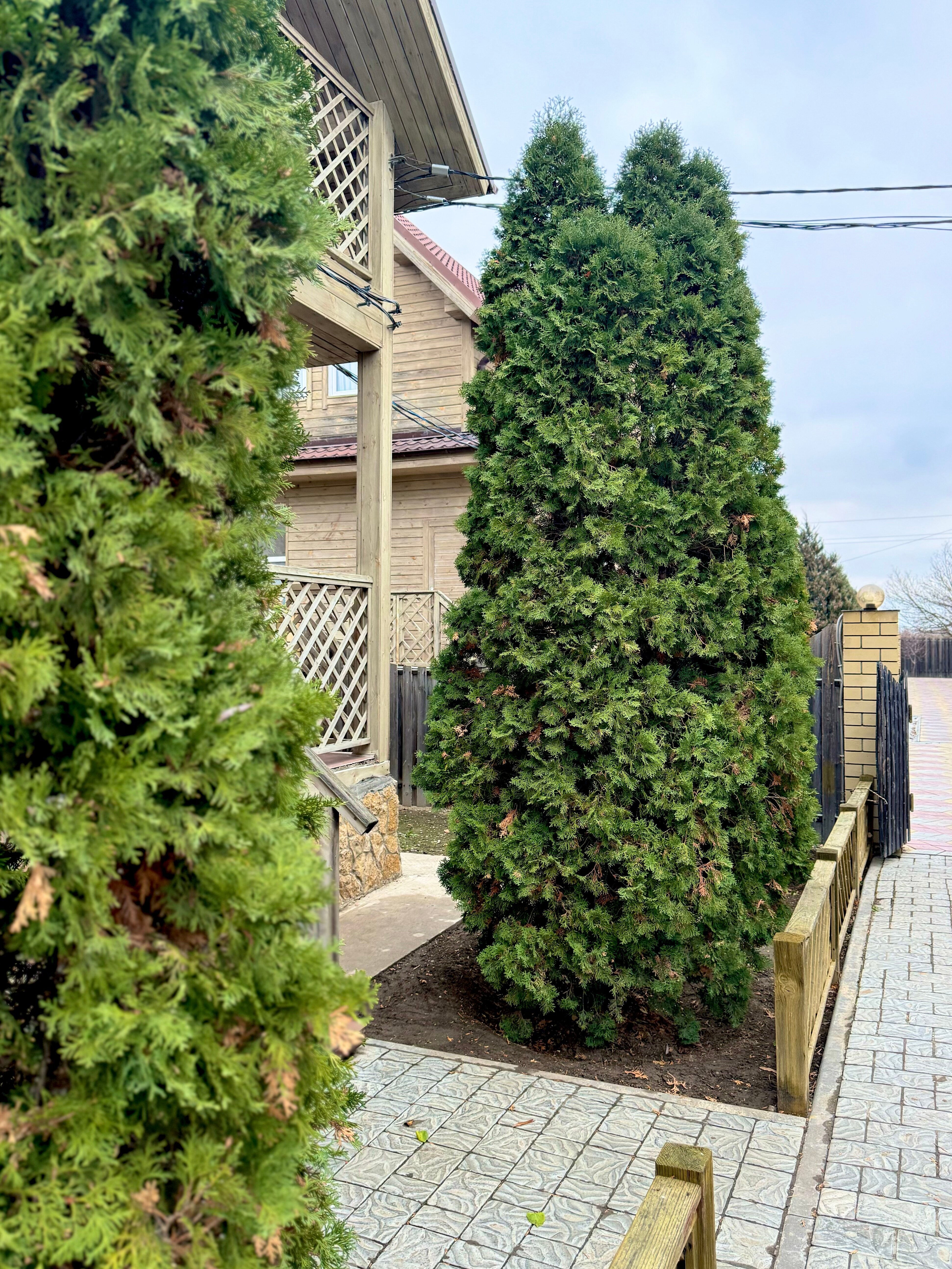 Фото Семейная Усадьба