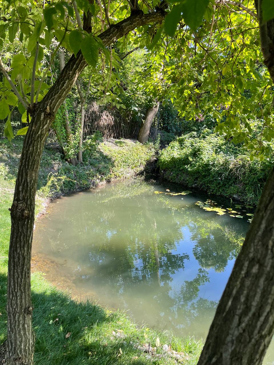 Фото Усадьба на Садовой