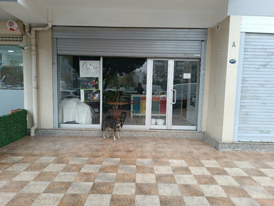 Confectionary Alice Makaron, Izmir, photo