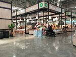 Центр сухофруктов (Volzhskoye Highway, 106) ، المكسرات والوجبات الخفيفة والفواكه المجففة
