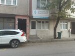 Kurtulus Pest Control Cleaning (Bursa, Osmangazi, 2. Ceviz Sok., 86E) ، التطهير وإزالة الطفيليات والآفات