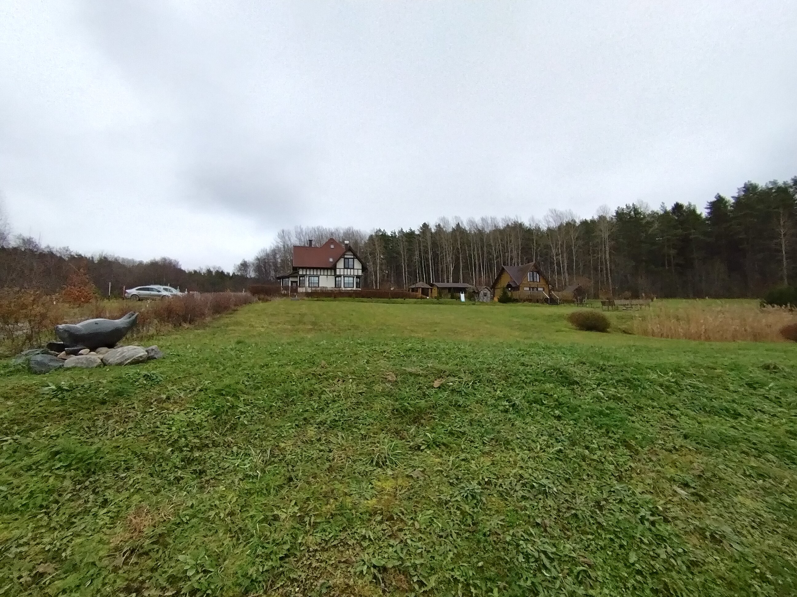 Фото Тихотут