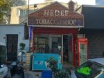 Pasha Tobacco (Istanbul, Fatih, Seyyid Omer Neighborhood, Miralay Hasan Kazimbey Street) ، متجر مستلزمات التدخين