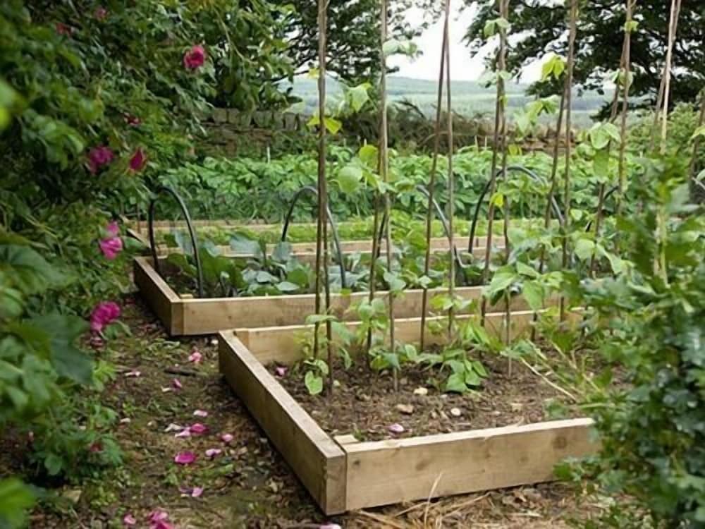 Фото Rye Hill Farm