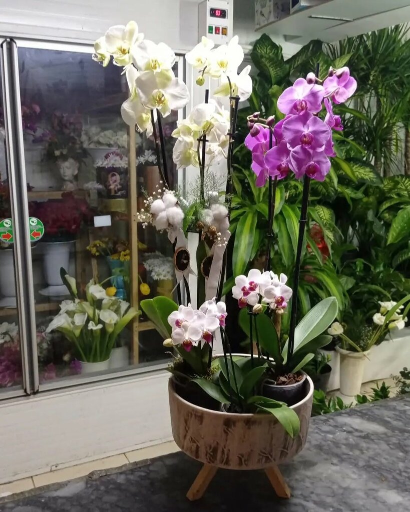 Flower shop Ladin Cicekclik, Izmir, photo