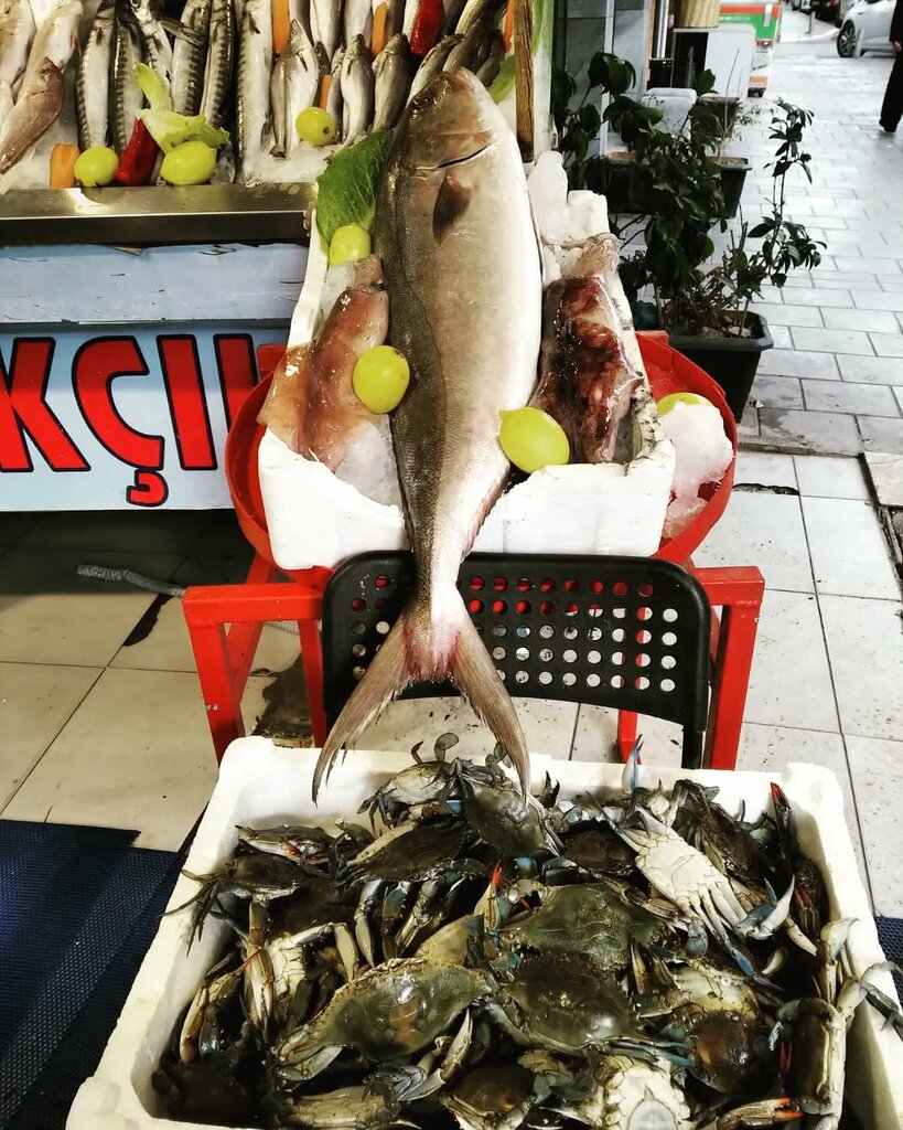 Fish and seafood Buca Ege Fish, Izmir, photo