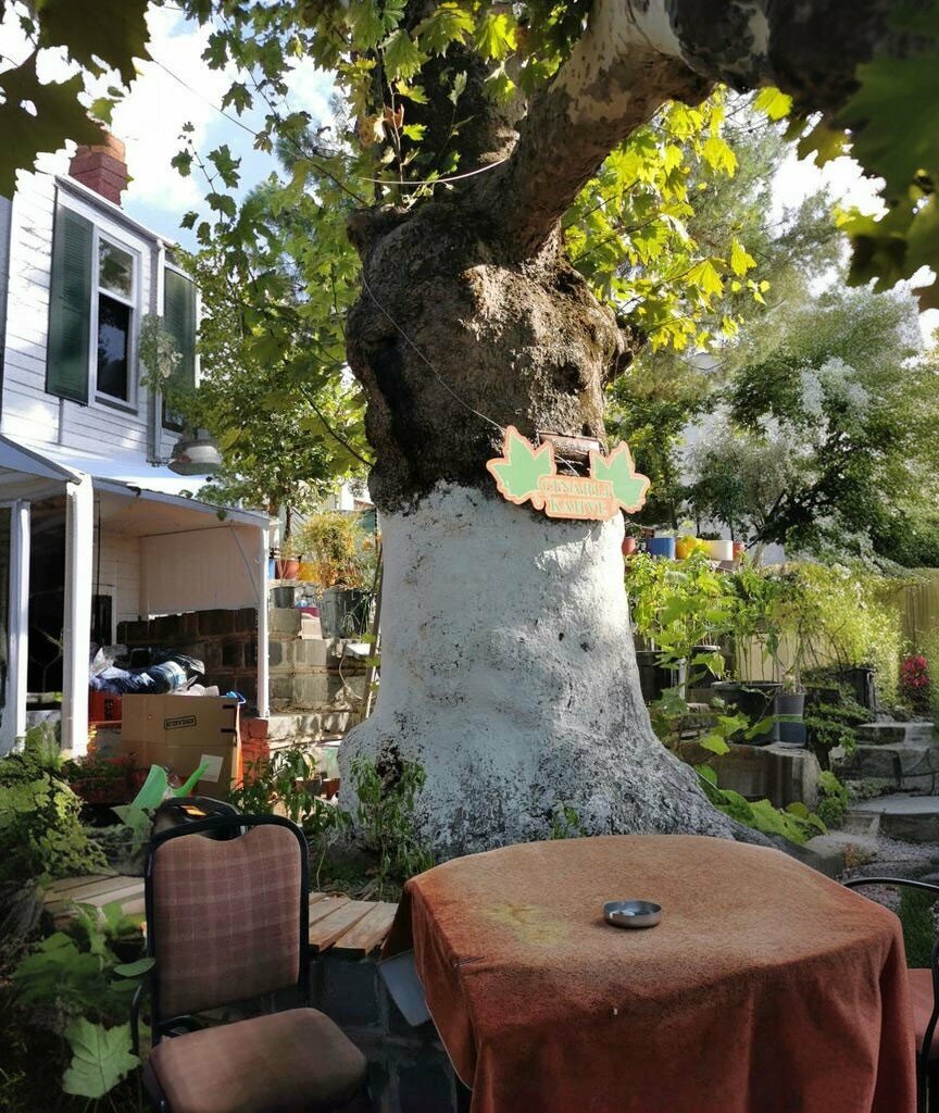 Cafe Cinarali Coffeehouse, Manisa, photo