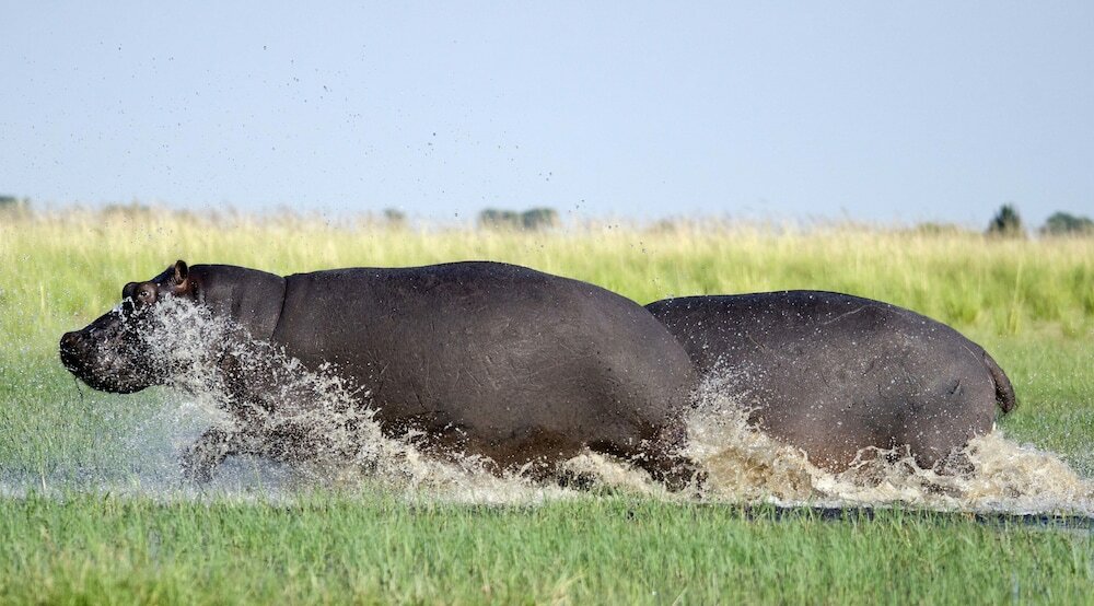 Фото The Old House