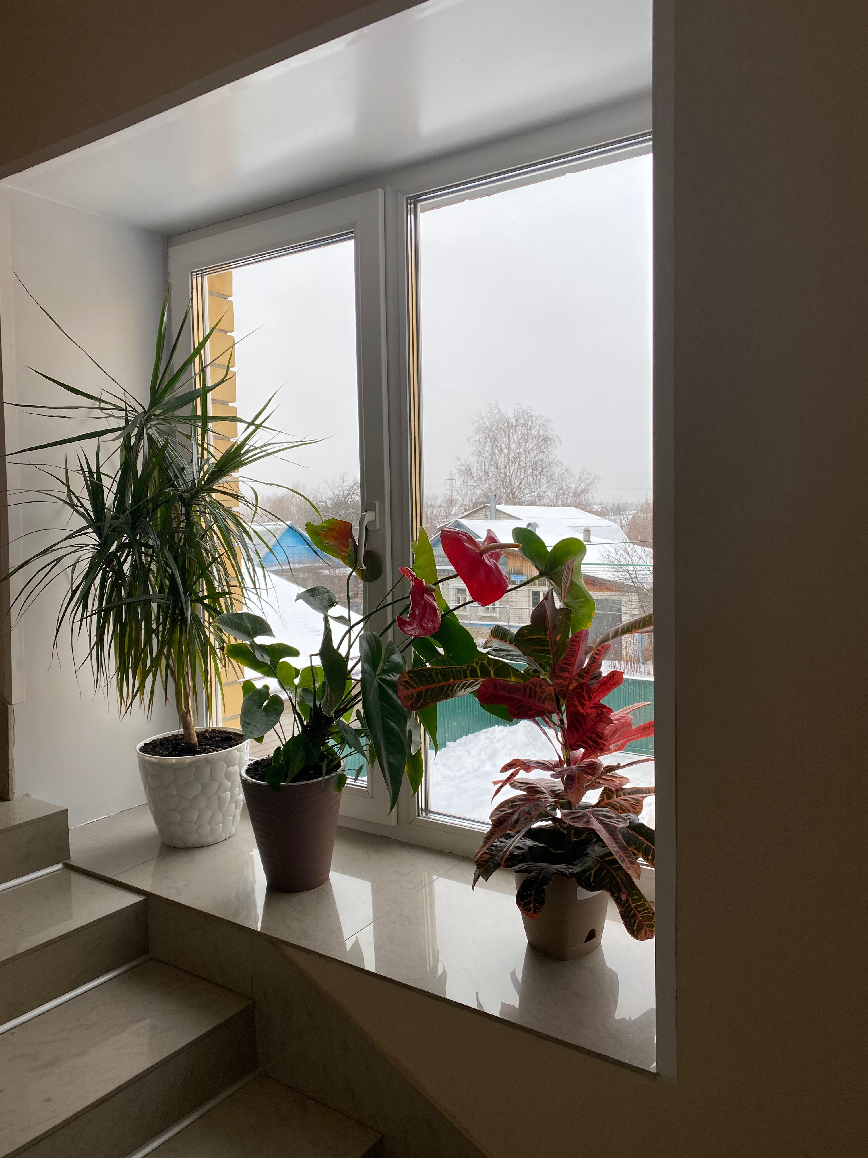 Фото Мансарда