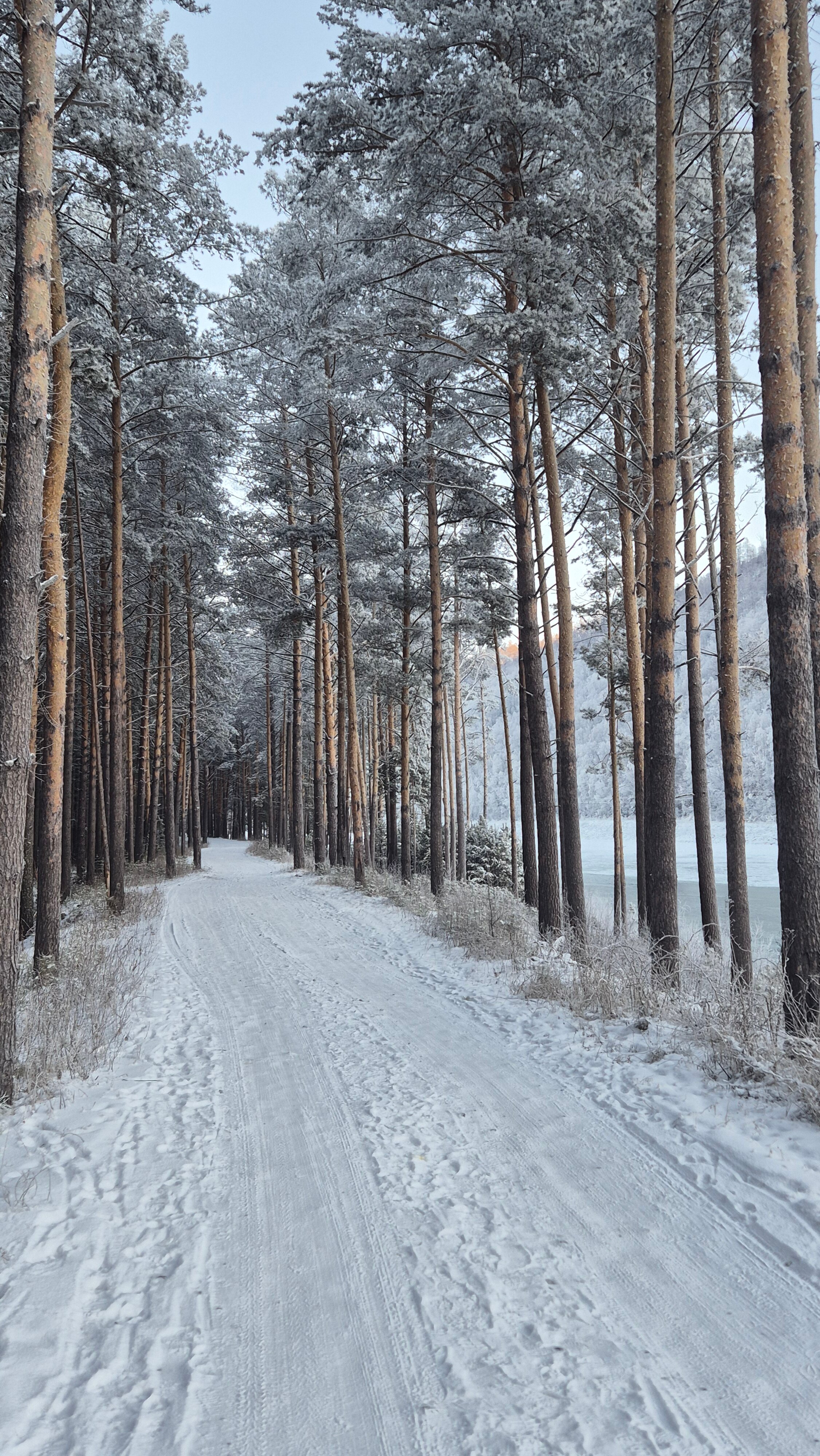Фото Саянская Благодать