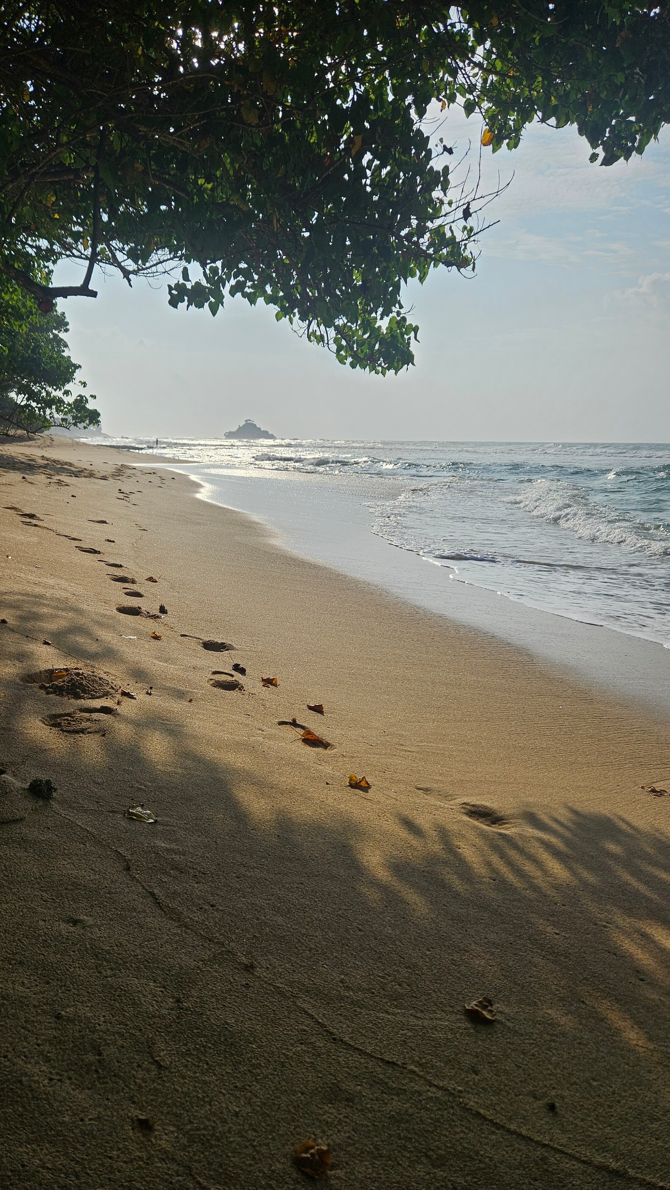 Фото W15 Weligama