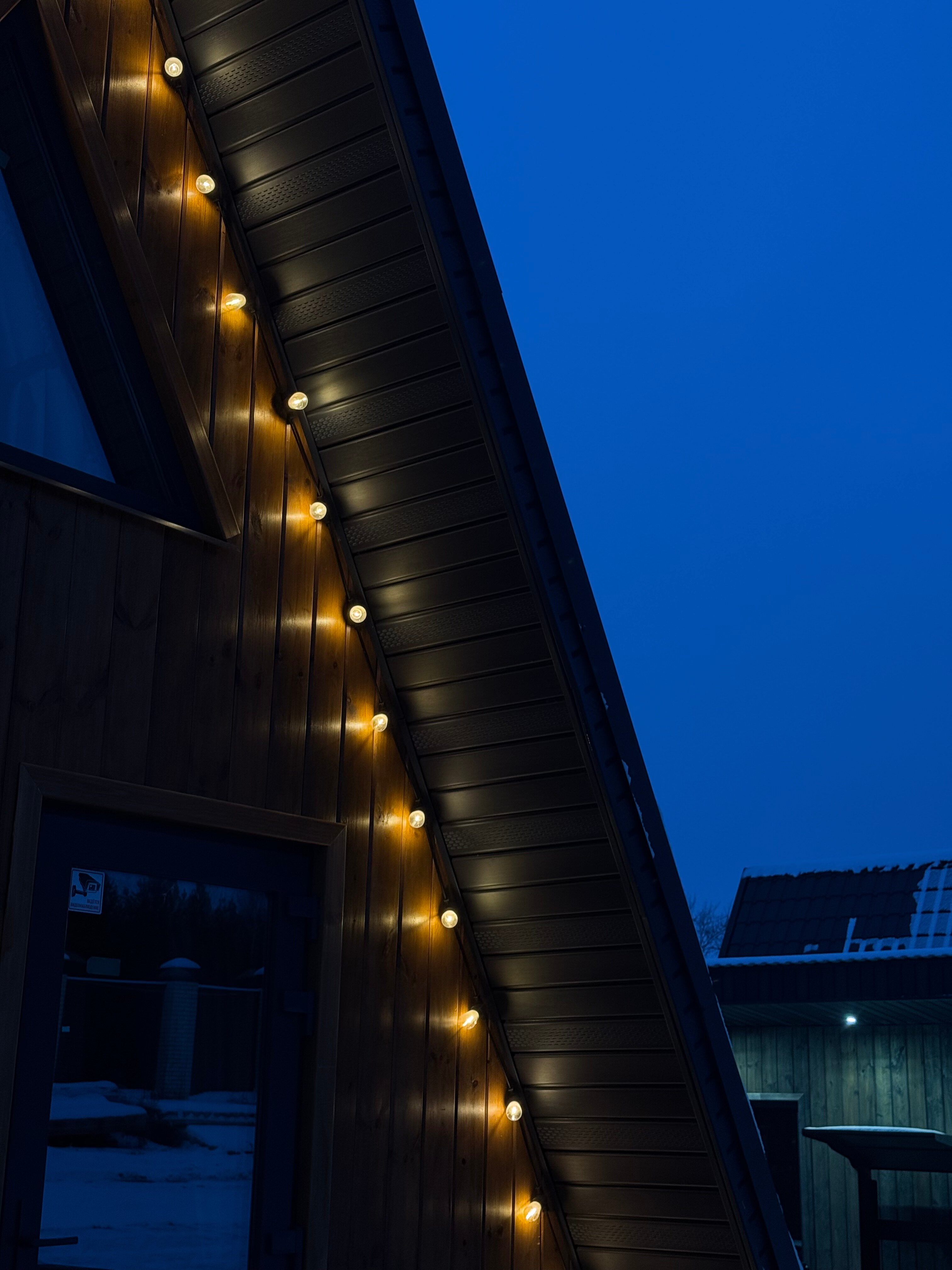 Фото Караси