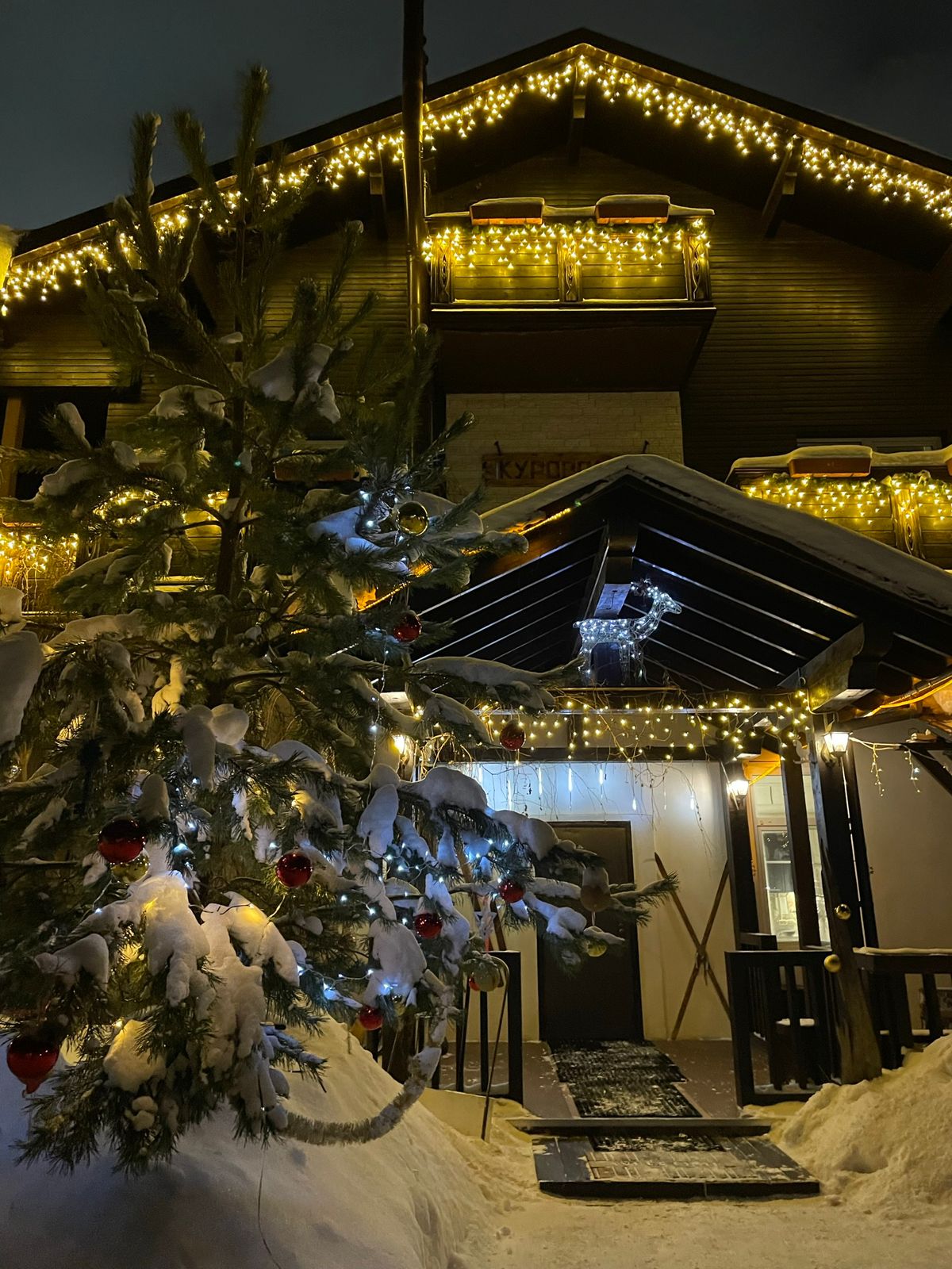 Фото Куршале