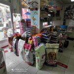 Çamlıca Pet Shop (İstanbul, Atasehir, Yeni Çamlıca Mah., Dursunbey Cad., 31A) ، متجر للحيوانات الأليفة