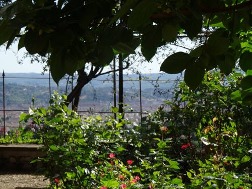 Фото Pensione Bencistà