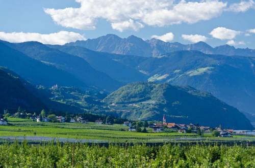 Фото Hotel Stamserhof
