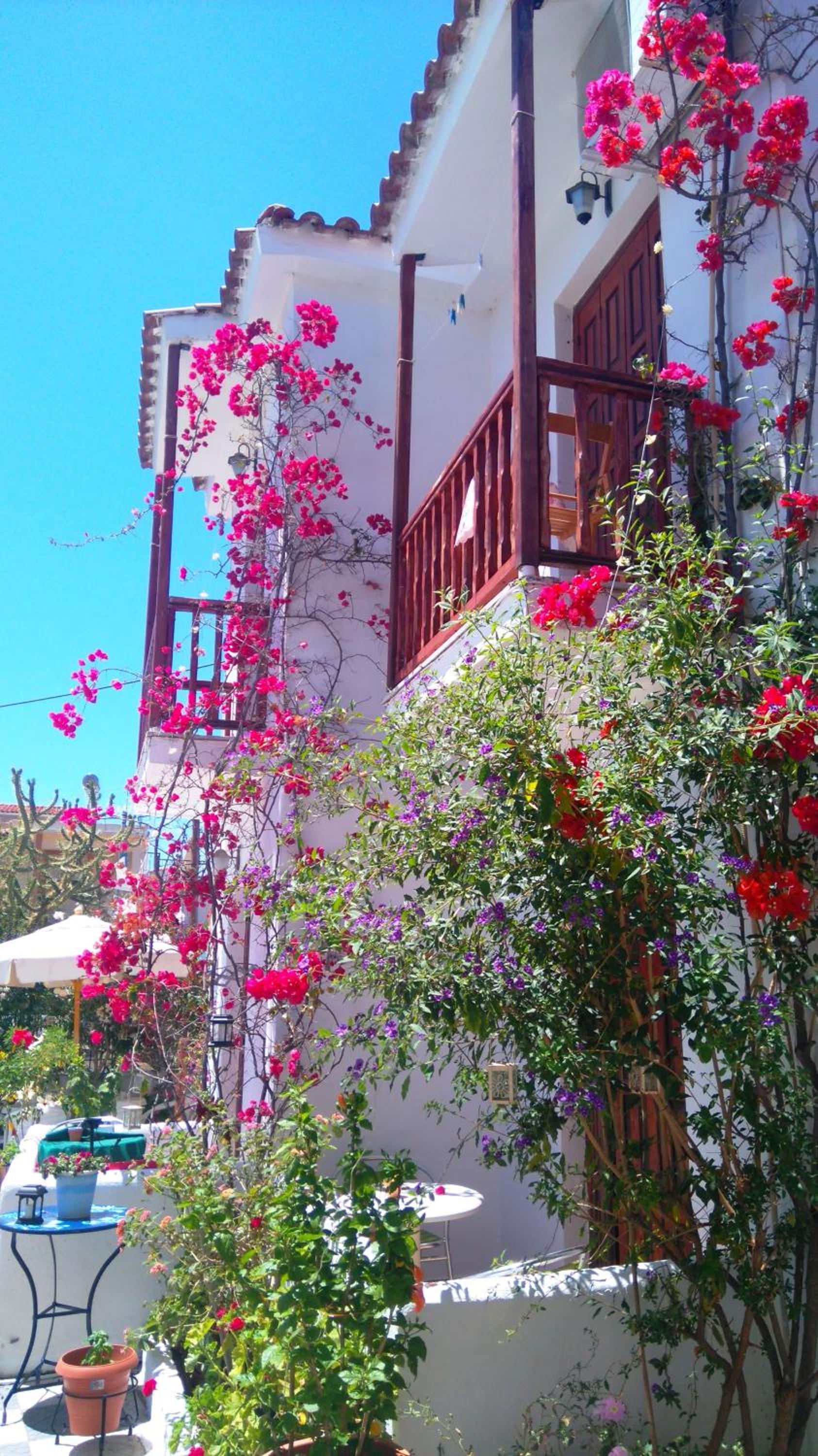 Фото Апартаменты Amalthia Studios