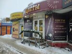 Palisadnik (Vladimirskaya Street, 31к1) ، محل زهور