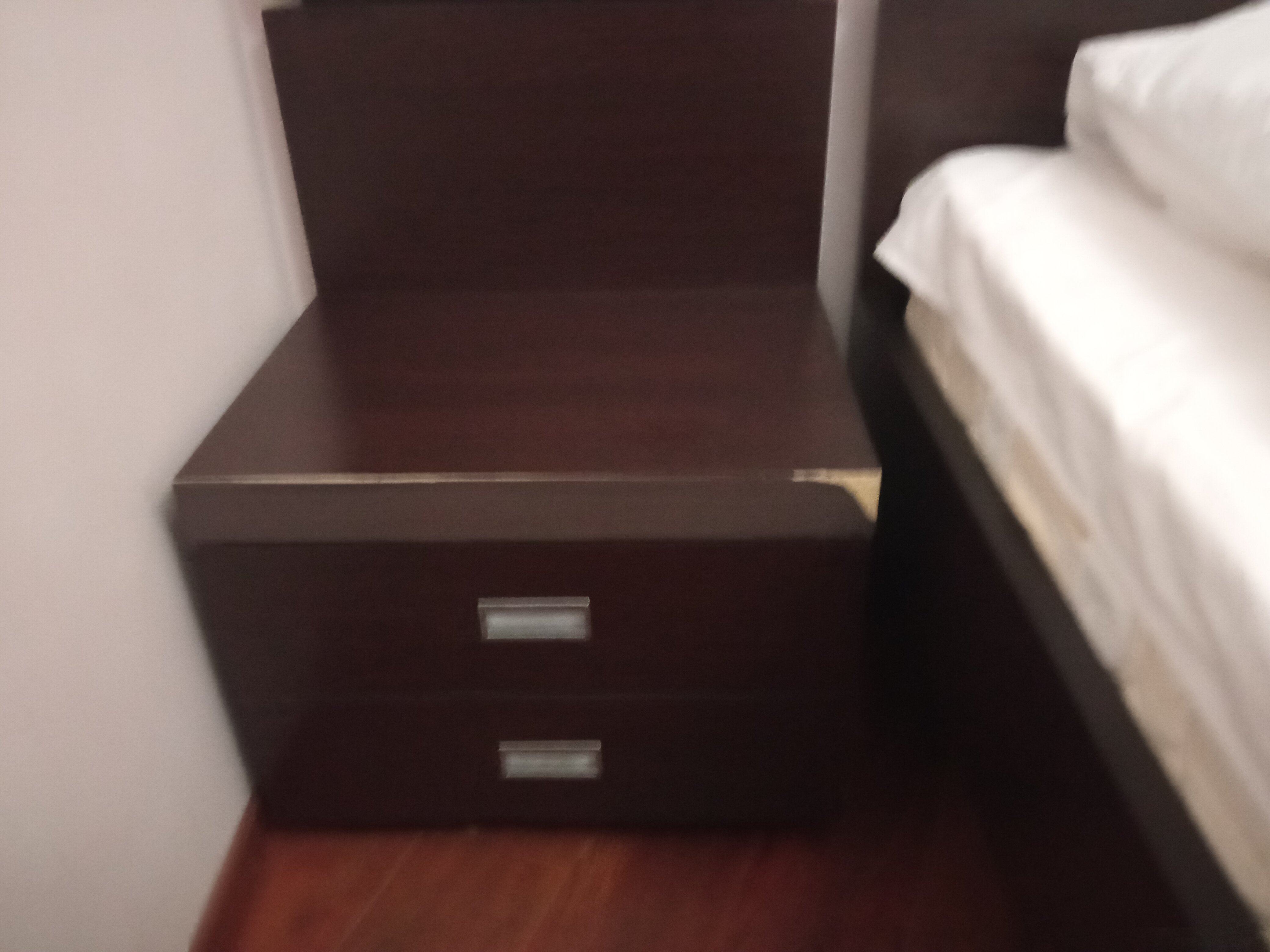 Фото Пальмира клуб