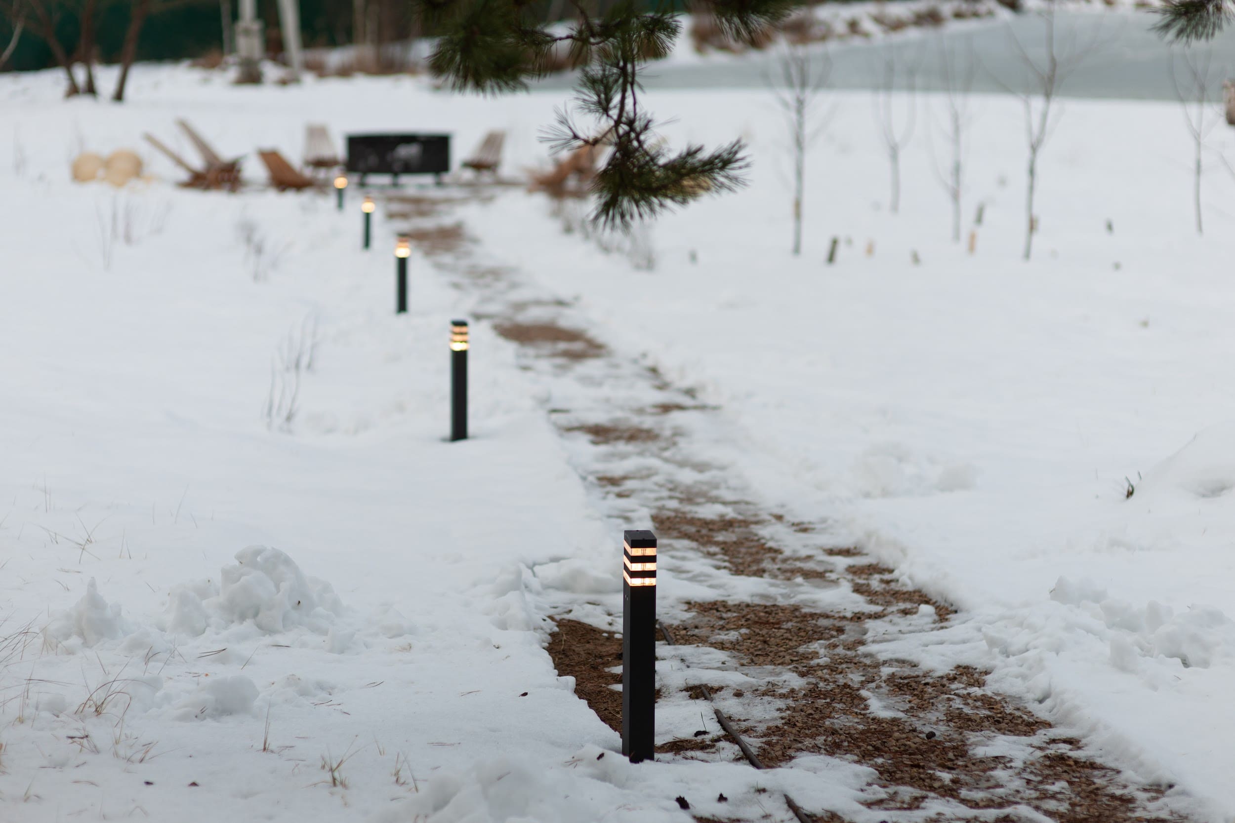 Фото Заповедное
