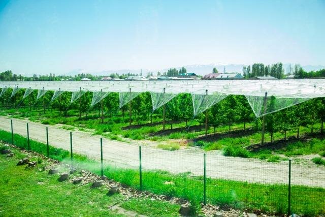 Research institute Scientific Institute Ecology And Environmental Protection, Tashkent, photo