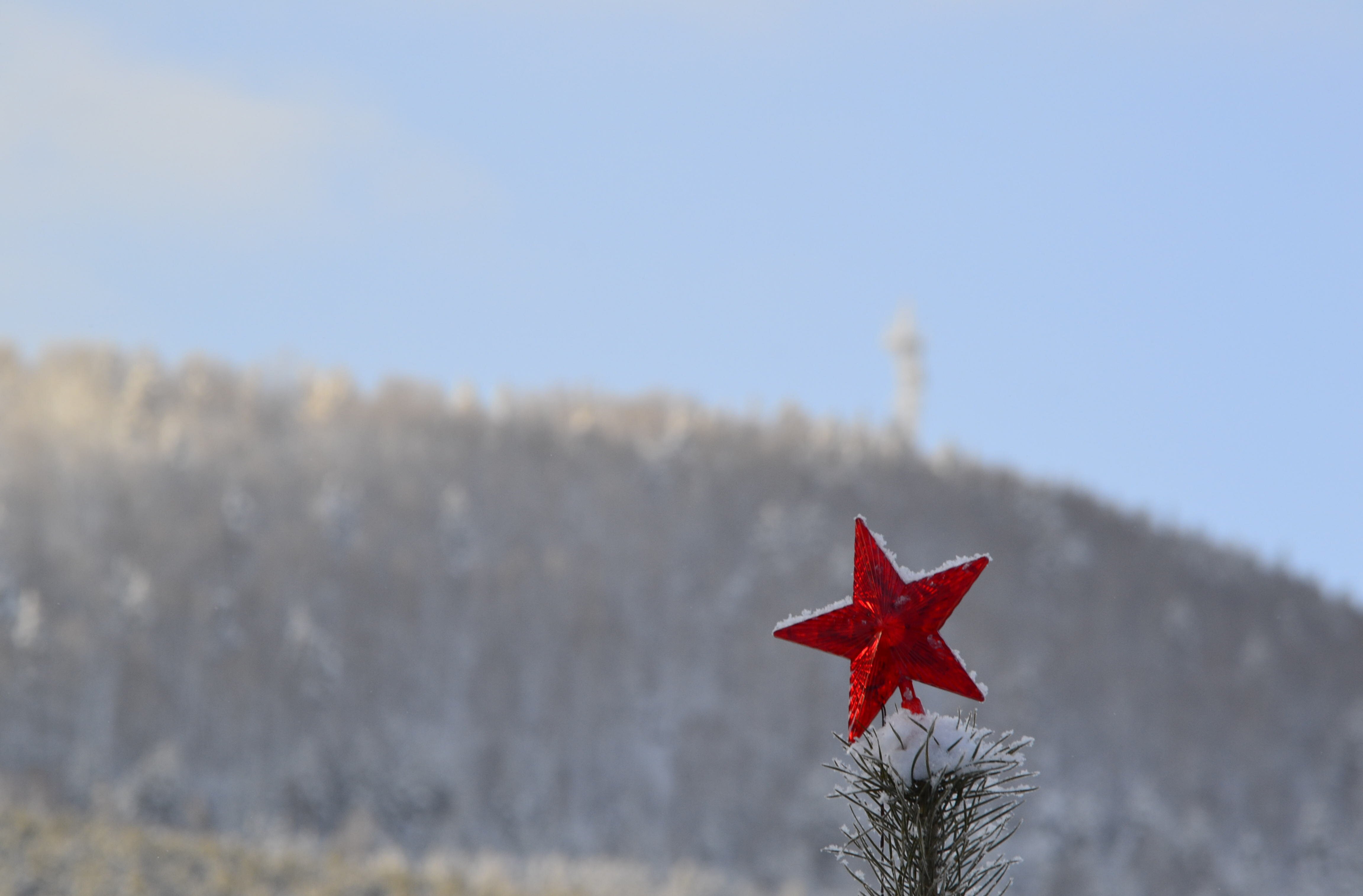 Фото Пилигрим