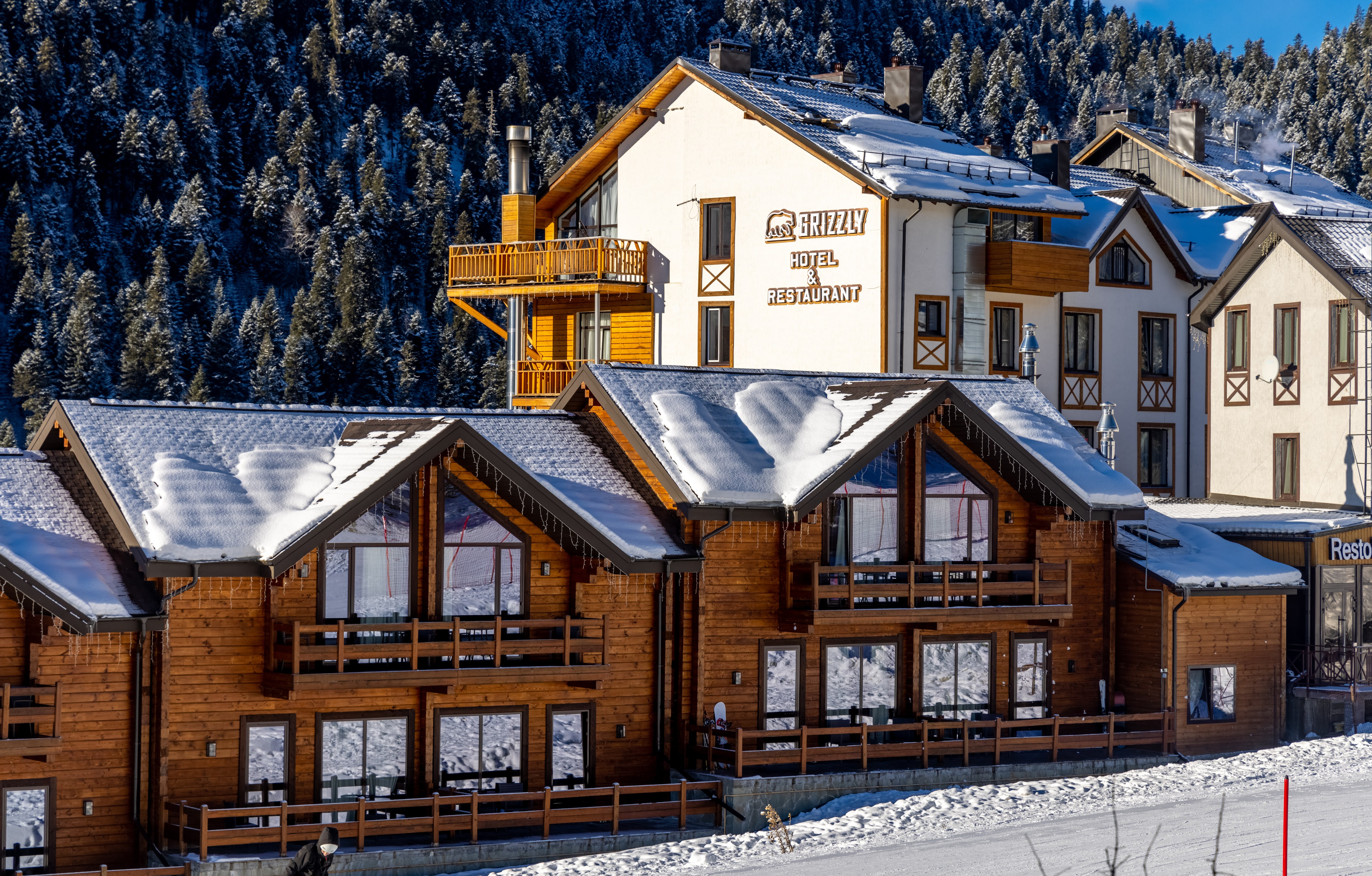 Фото Гризли