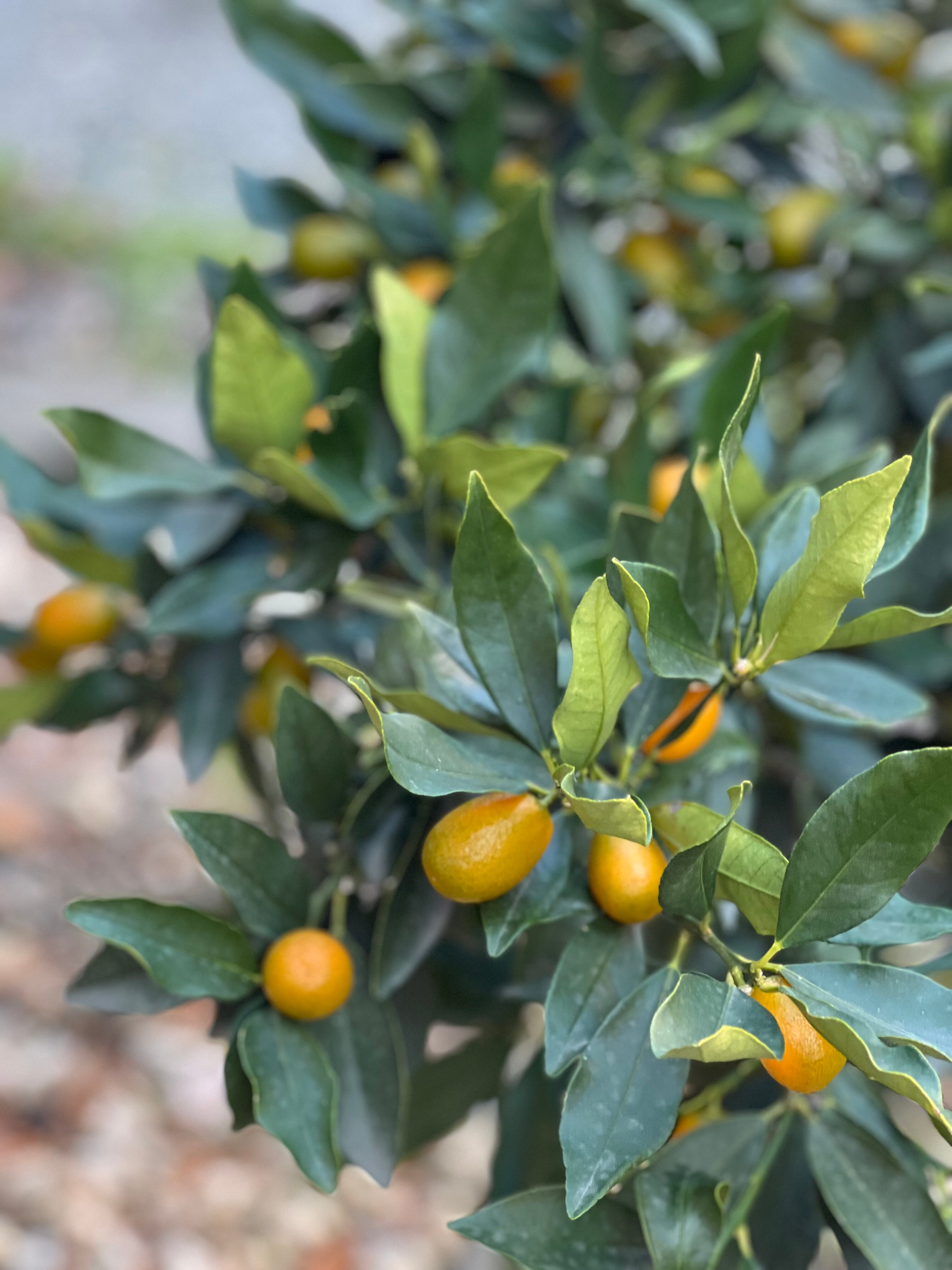 Фото Времена года