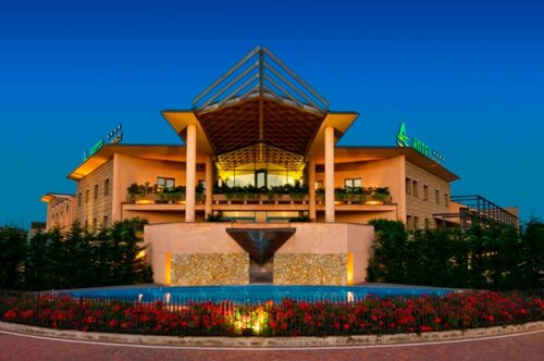 Гостиница AS Hotel Cambiago