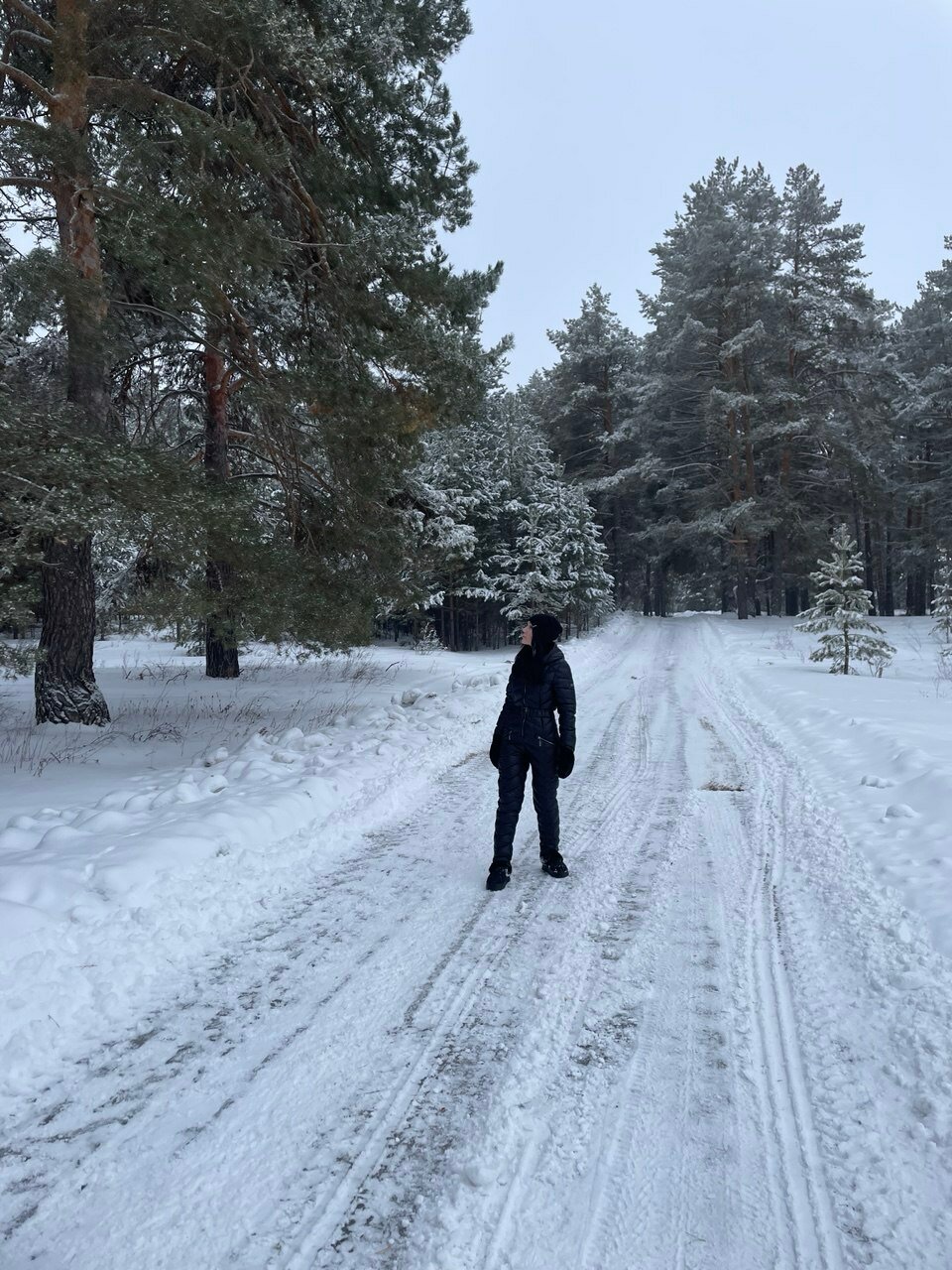 Фото Совушка