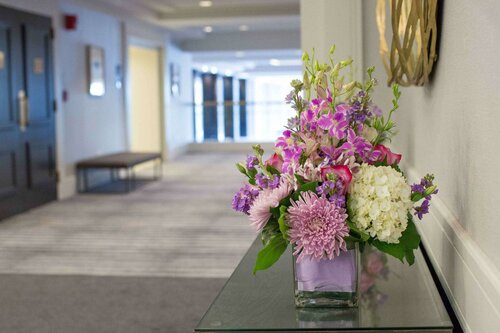 Гостиница Hilton Newark Airport в Элизабет