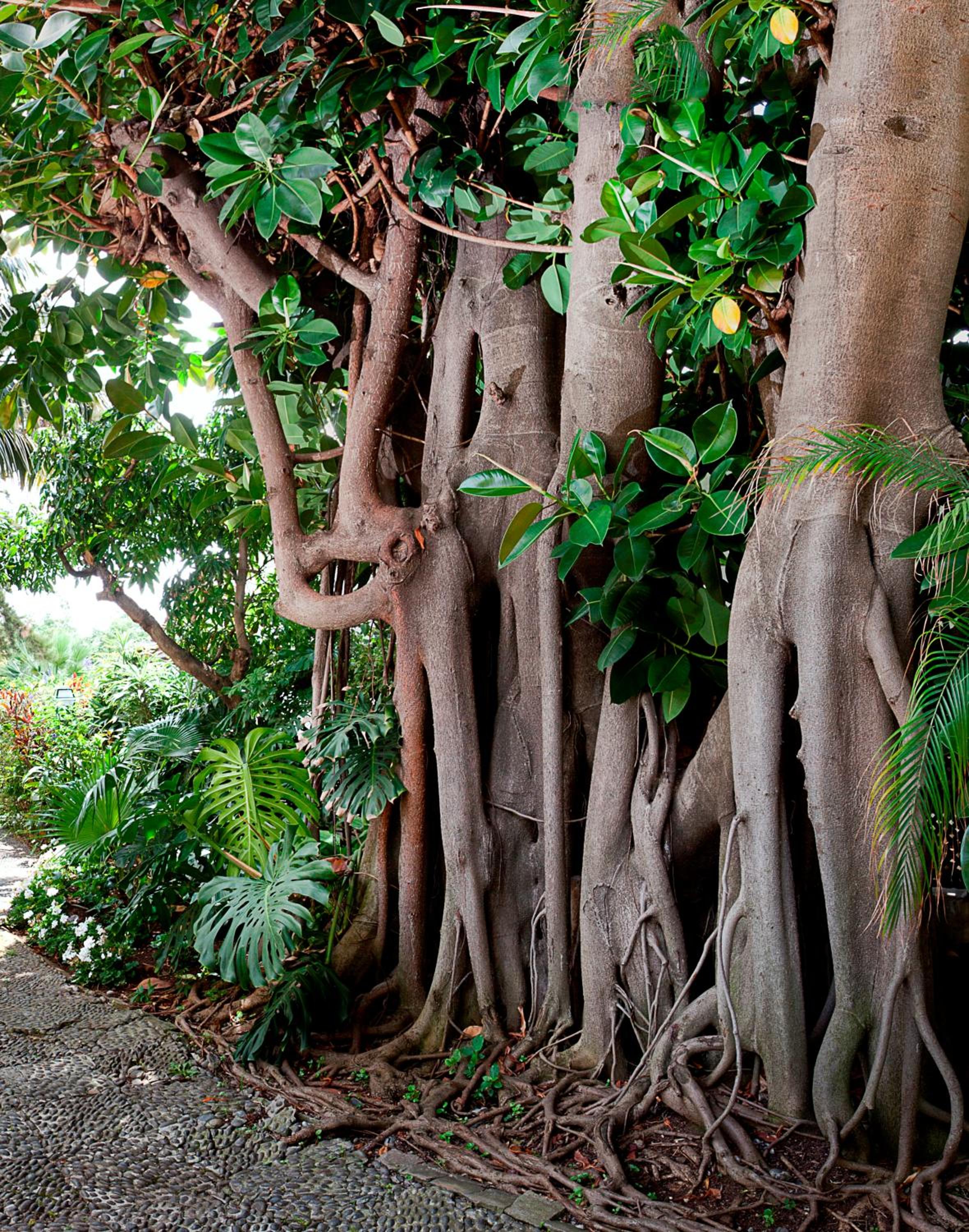 Фото Vila Vicencia