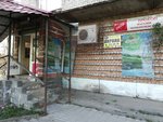 Прокоп (10, микрорайон Чёрная Речка, Сертолово), магазин продуктов в Сертолово